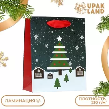 Пакет ламинированный «Ночь перед рождеством» 11.514.56 см