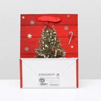 Пакет ламинированный "Новогодние подарки", 18 x 23 x 10 см