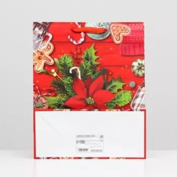 Пакет ламинированный "Новогодние угощения" 26 x 32 x 12