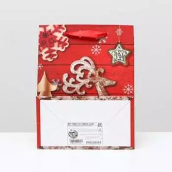 Пакет ламинированный "Новогодний олень", 18 x 23 x 10 см