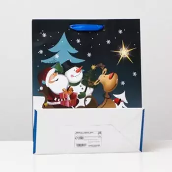 Пакет ламинированный, "Новогодняя команда" 26 x 32 x 12