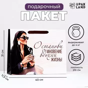 Пакет ламинированный «Останови мновение», 314011.5 см