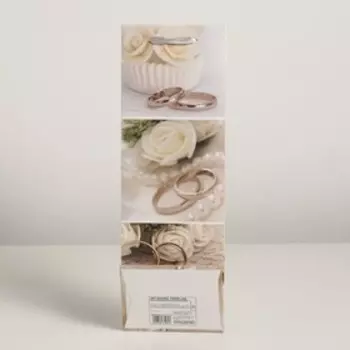 Пакет ламинированный под бутылку, 12 х 9 х 36 см