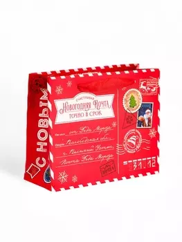 Пакет ламинированный подарочный «С Новым годом», S 12155.5 см