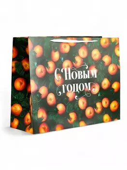Пакет ламинированный подарочный «Волшебный праздник», XXL 614620 см