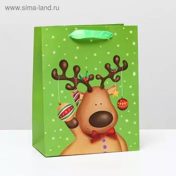 Пакет подарочный новогодний ламинированный «Подарок», 182310 см