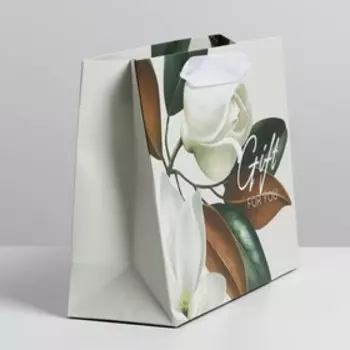 Пакет подарочный ламинированный, упаковка, «Подарок» 22 х 17.5 х 8 см