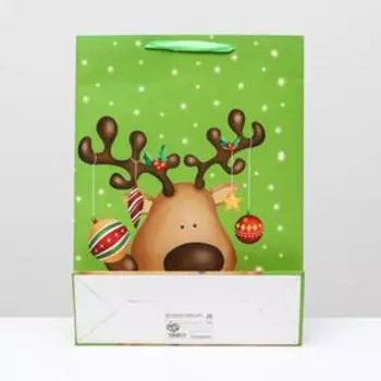 Пакет ламинированный "Подарок", 31 x 42 x 12 см