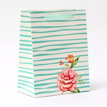 Пакет ламинированный « Полоски», MS 18 23 10 см