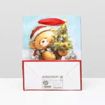 Пакет ламинированный "Поздравляю!", 11,5 x 14,5 x 6 см