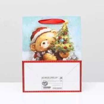 Пакет ламинированный "Поздравляю!", 18 x 23 x 10 см