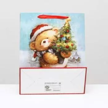 Пакет ламинированный "Поздравляю!", 26 x 32 x 12 см