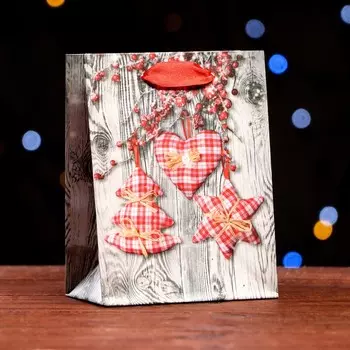 Пакет ламинированный «Праздничные забавы» 11.514.56 см