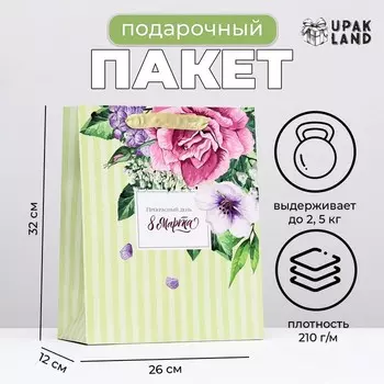 Пакет ламинированный «Прекрасный день», 263212 см