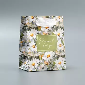 Пакет подарочный ламинированный, упаковка, Present, 9 х 12 х 6.5 см