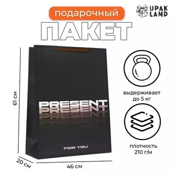 Пакет ламинированный Present, XXL 466120 см