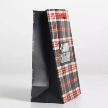 Пакет ламинированный Real strong, S 12 х 15 х 5,5 см