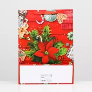 Пакет ламинированный "Рождественские угощения" 32 х 42 х 12