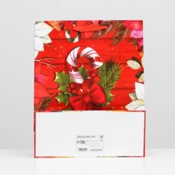 Пакет ламинированный "Рождественский леденец" 26 x 32 x 12