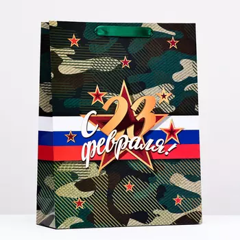 Пакет ламинированный «С 23 февраля!», 314011.5 см