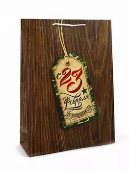 Пакет подарочный ламинированный «С 23 февраля», L 28 х 38 х 9 см