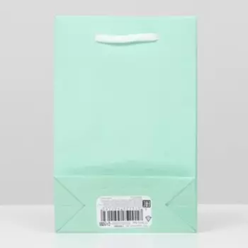 Пакет ламинированный, салатовый, 17,5 х 11,5 х 5 см