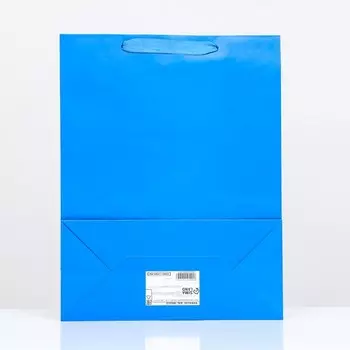 Пакет подарочный ламинированный «Синий», 314014 см