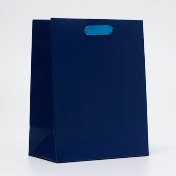 Пакет подарочный ламинированный «Синий», MS 182310 см