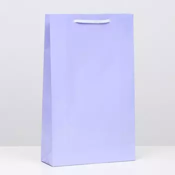 Пакет ламинированный, сиреневый, 40,5 х 24,8 х 9 см