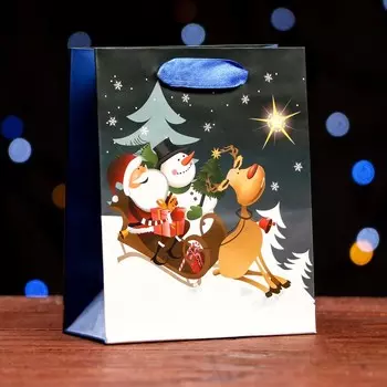 Пакет подарочный новогодний ламинированный «Сказочная ночь» 11.514.56 см