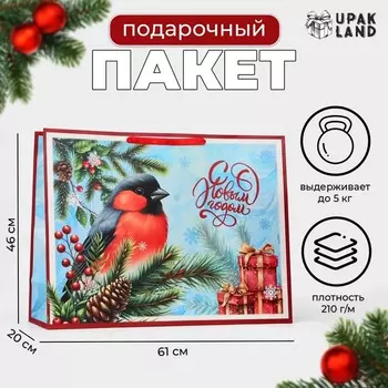 Пакет ламинированный «Снегирь», XXL 466120 см