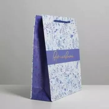 Пакет подарочный ламинированный, упаковка, «Вдохновляй», ML 21 х 25 х 8 см