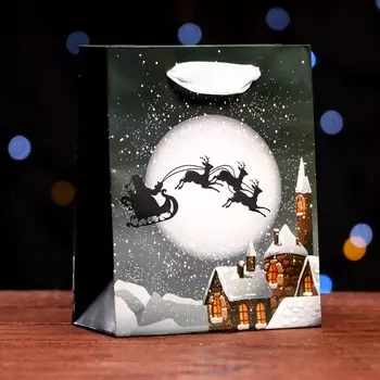 Пакет ламинированный «Волшебная ночь» 11.514.56 см