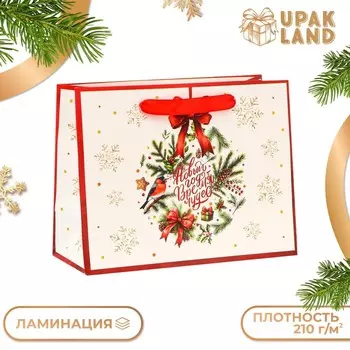 Пакет ламинированный «Время чудес!», MS 231810 см