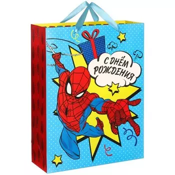 Пакет подарочный, Дисней МИКС, 314011.5 см