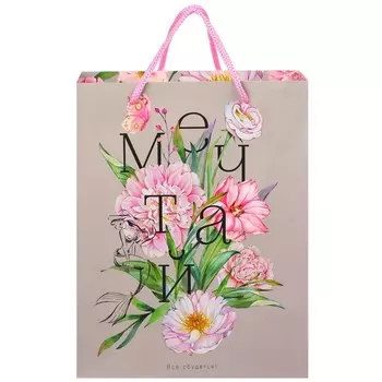 Пакет подарочный "Мечтай" 18х23х10 см, Принцессы