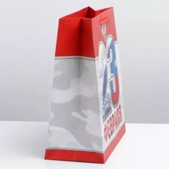 Пакет подарочный ламинированный вертикальный, упаковка, «23 февраля!», ML 23 х 27 х 11,5 см