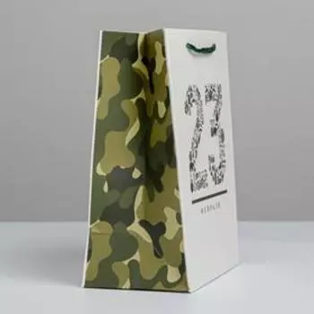 Пакет подарочный ламинированный, упаковка, «23 февраля», MS 18 х 23 х 10 см