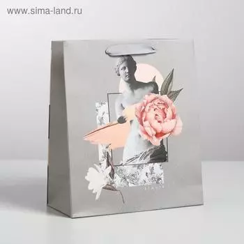 Пакет ламинированный вертикальный Beauty, ML 23 × 27 × 11,5 см