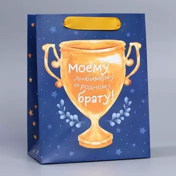Пакет подарочный ламинированный, упаковка, «Брату», MS 18 х 23 х 10 см