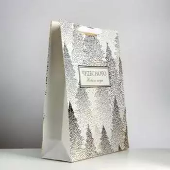 Пакет ламинированный вертикальный «Чудесного праздника», L 31 × 40 × 11,5 см