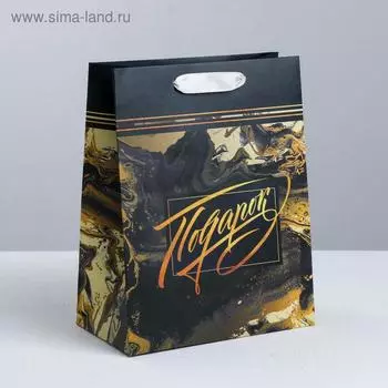 Пакет ламинированный вертикальный «Чудесный подарок», M 26 × 30 × 9 см