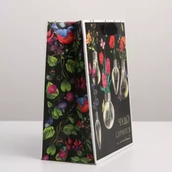 Пакет подарочный ламинированный вертикальный, упаковка, «Чудо», MS 18 х 23 х 10 см