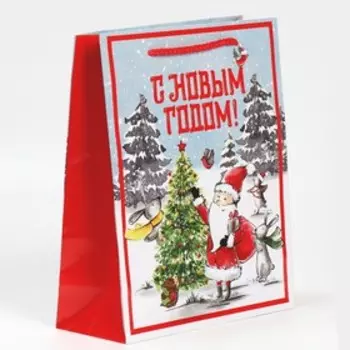 Пакет ламинированный вертикальный «Дедушка мороз», ML 21 25 8 см