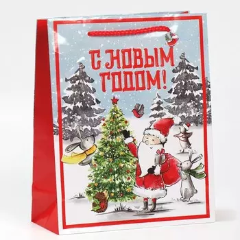 Пакет ламинированный вертикальный «Дедушка мороз», ML 21 25 8 см