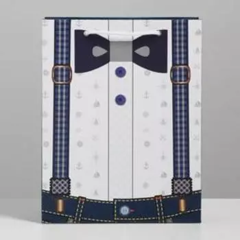 Пакет подарочный ламинированный вертикальный, упаковка, «Деловой мужчина», MS 18 х 23 х 8 см