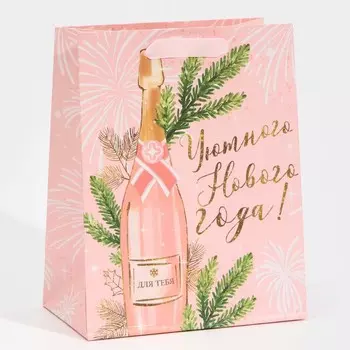 Пакет ламинированный вертикальный «Для тебя», MS 18 23 10 см