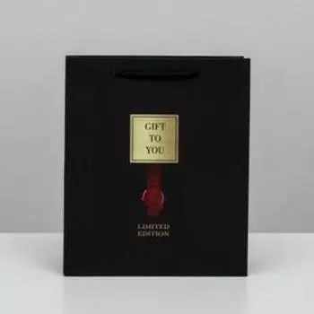 Пакет ламинированный вертикальный Gift to you, ML 23 × 27 × 11,5 см