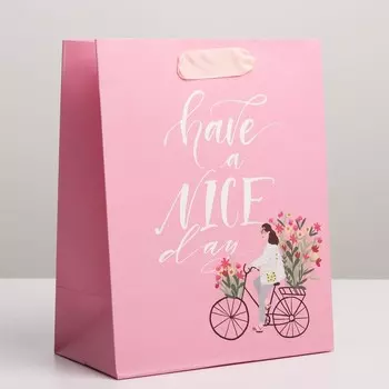 Пакет подарочный ламинированный вертикальный, упаковка, «Have a nice day», MS 18 х 23 х 10 см
