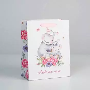 Пакет подарочный ламинированный вертикальный, упаковка, «Любимой Маме», MS 18 х 23 х 10 см